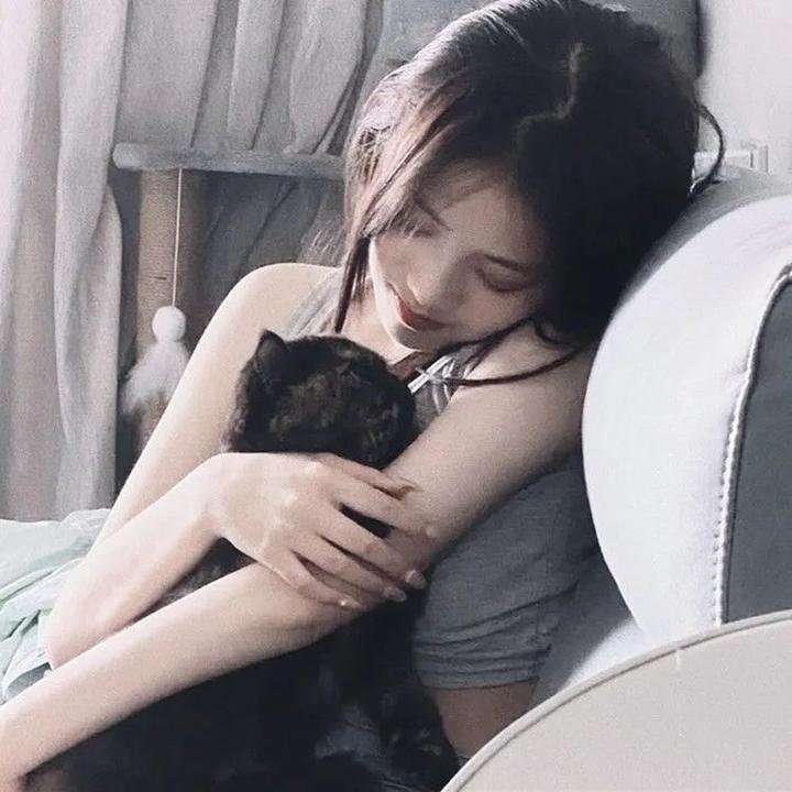 全世界的国王 在线观看